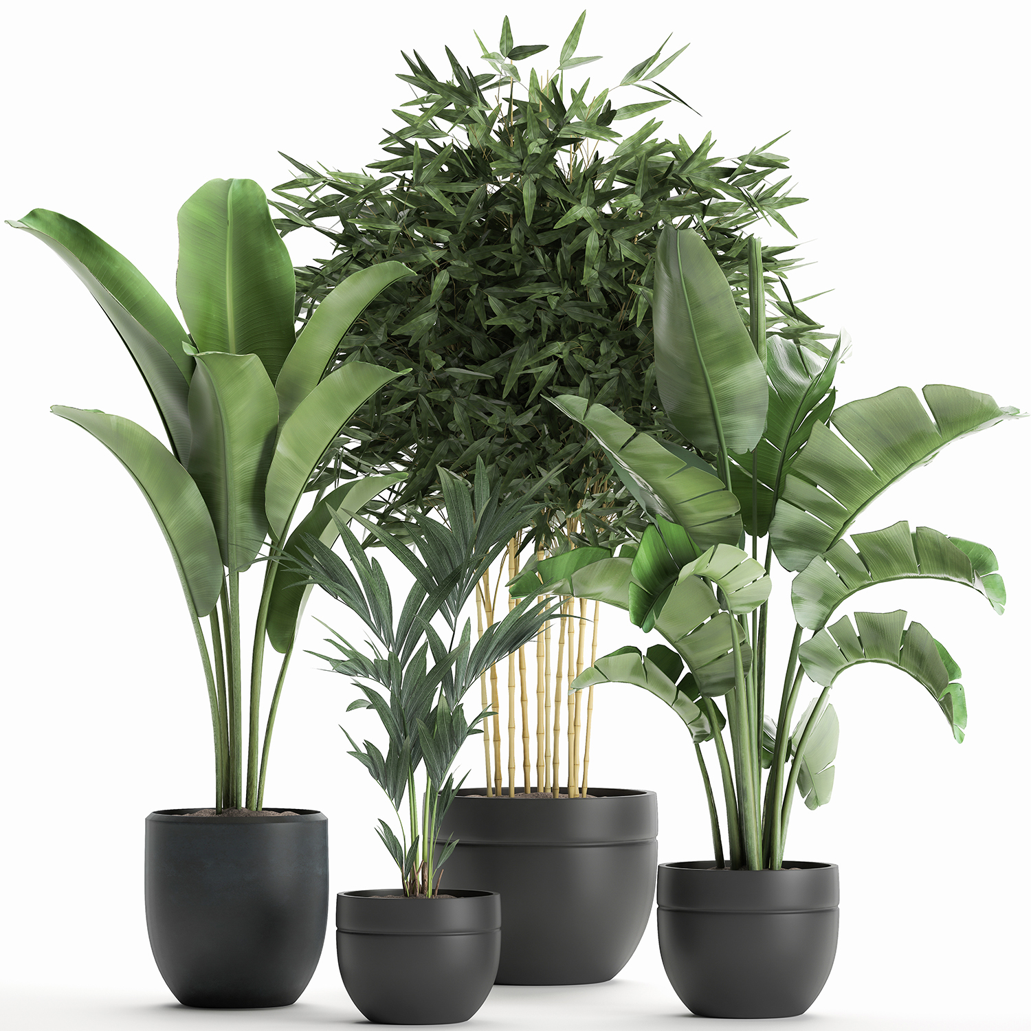 3d Decorative Plants Interior Black Model - Turbosquid 1576412