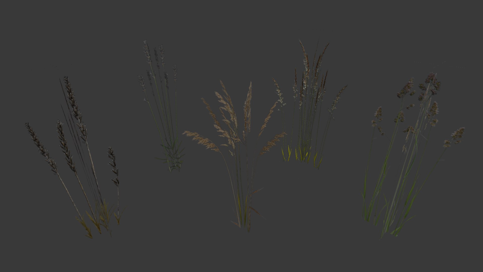 cereals grass 3D model https://p.turbosquid.com/ts-thumb/DO/rcgqgM/9RWuc5ls/weed2/png/1545827366/1920x1080/fit_q87/b4f9c32ea2e7f3aa484f9adfbb39c3cc680ba86e/weed2.jpg