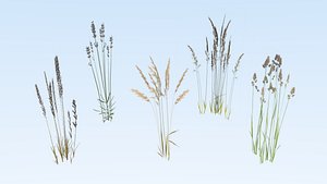 Cereals set lowpoly