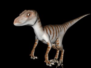 velociraptor dinosaur 3d model