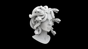 Medusa 3D Print Model