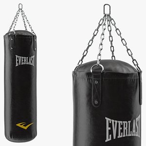 3D Everlast Hanging Punching Bag