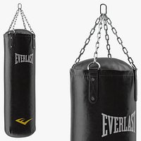 Everlast Hanging Punching Bag