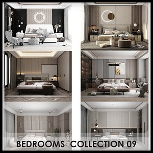 3D model 12 Bedrooms - Collections 09 - 10