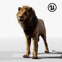 Lion - Game-ready - UE