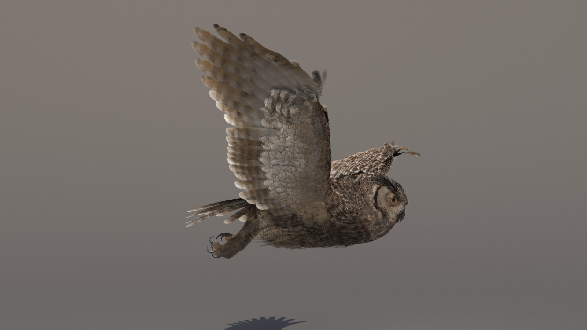 3D owl animations model https://p.turbosquid.com/ts-thumb/DP/EOFZjY/1xwxTkSv/owlanimated4/jpg/1573489493/1920x1080/fit_q87/42d17738ede59b45ee35e054a7813af2504ab618/owlanimated4.jpg