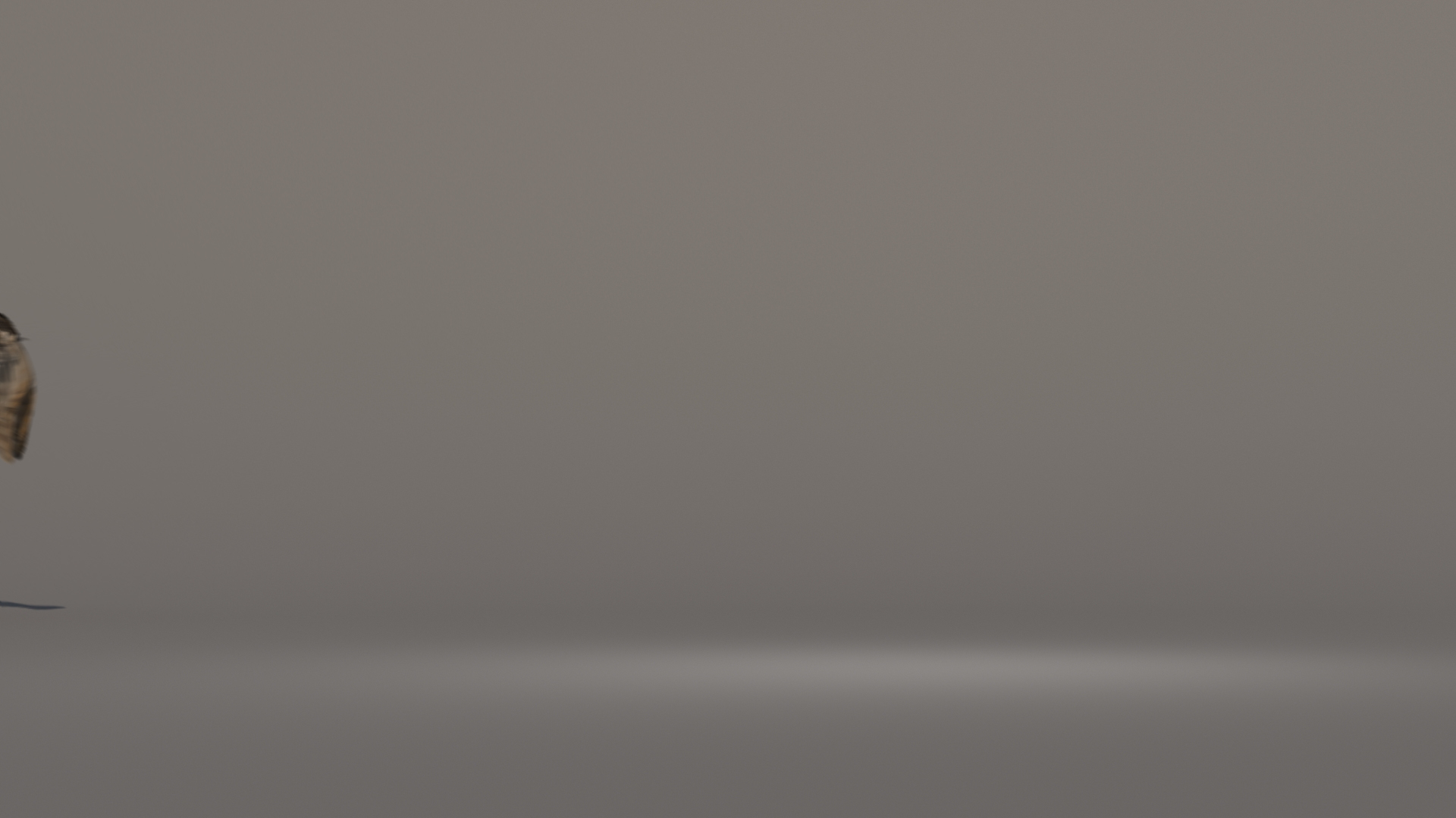 3D owl animations model https://p.turbosquid.com/ts-thumb/DP/EOFZjY/Br0R051U/landing/jpg/1573474616/1920x1080/turn_fit_q99/ebcca54d7d4f76f1c1b5484b5f380f336119b268/landing-1.jpg