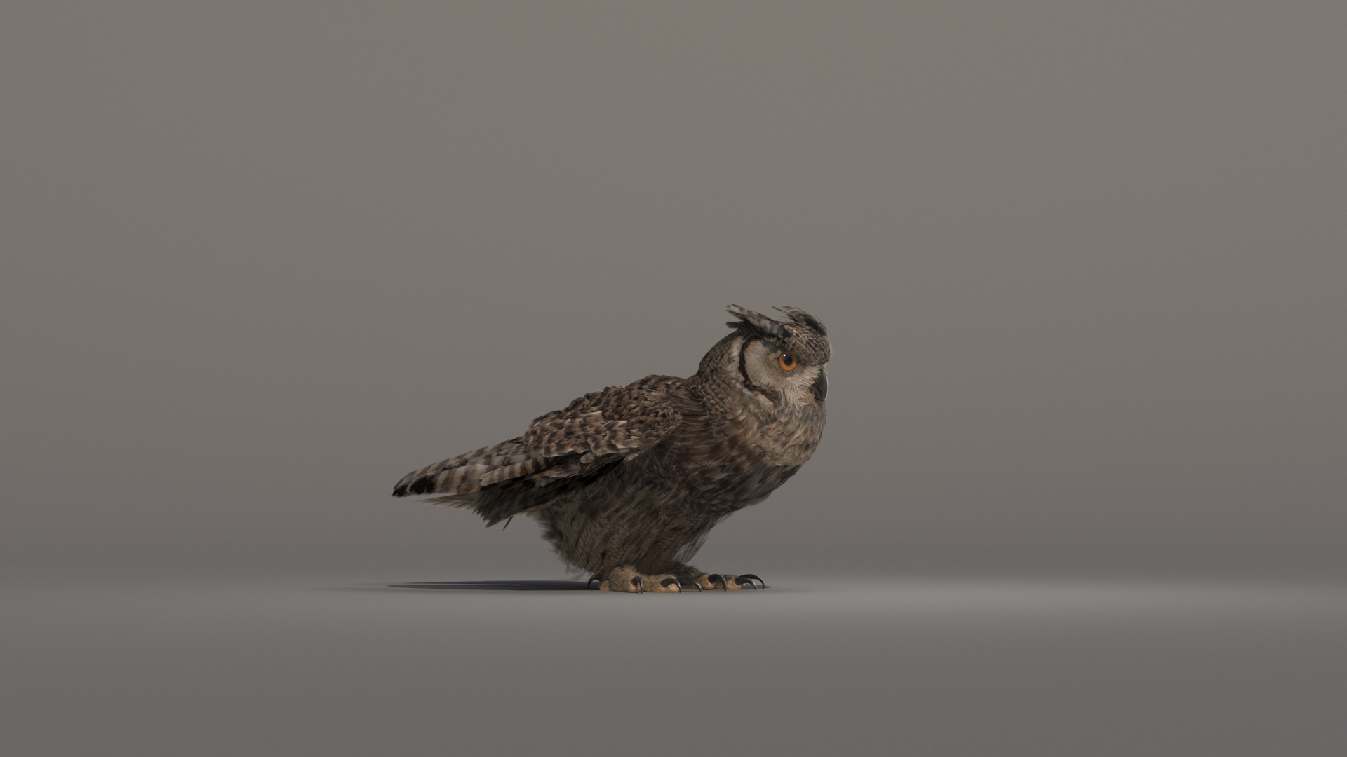 3D owl animations model https://p.turbosquid.com/ts-thumb/DP/EOFZjY/GbWkvF1J/owleating/jpg/1573489277/1920x1080/turn_fit_q99/4401888a82d2b8d3f5d72cc2208cc7aeecc8950d/owleating-1.jpg