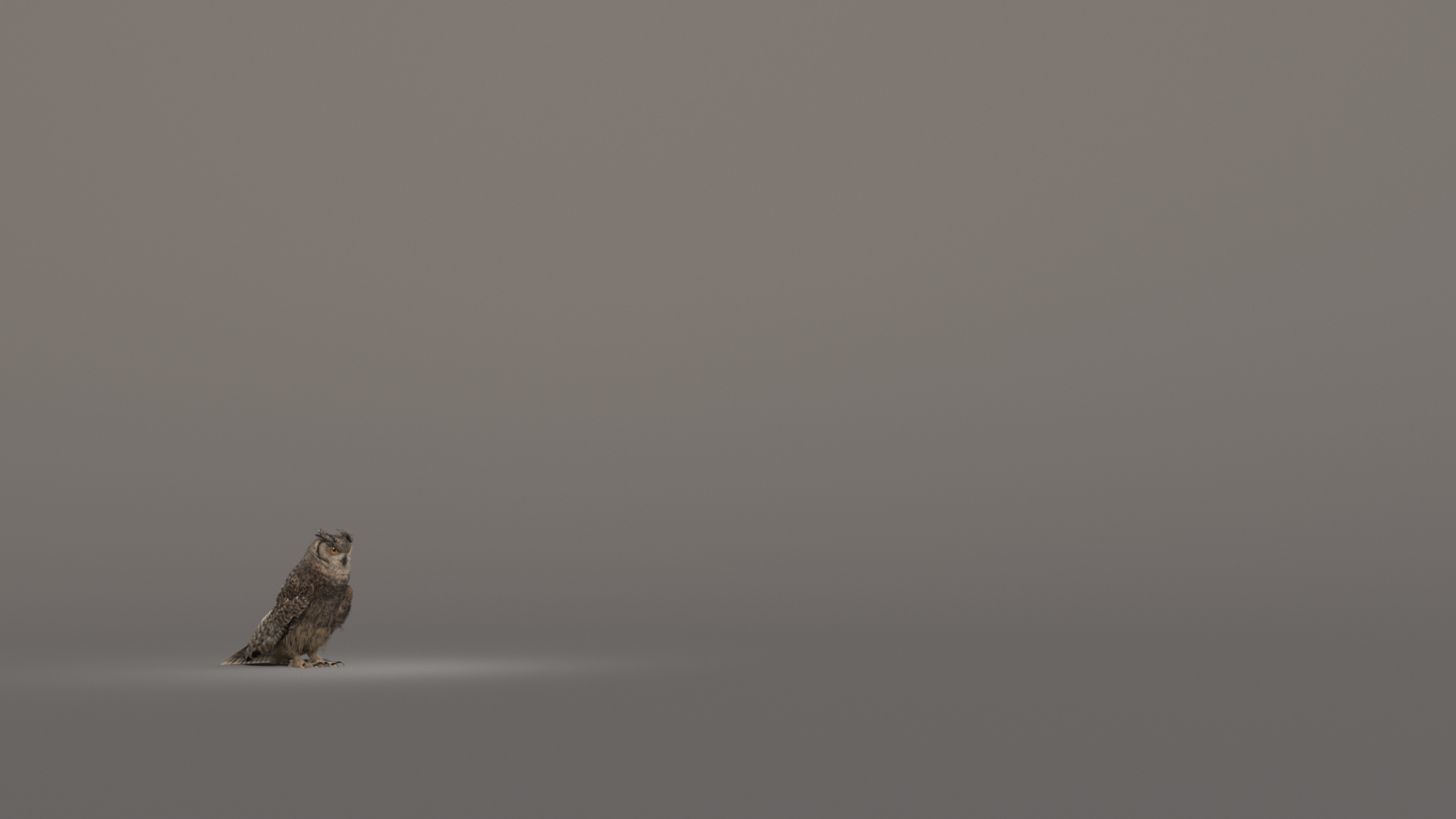 3D owl animations model https://p.turbosquid.com/ts-thumb/DP/EOFZjY/GpeRPhyw/startflysec/jpg/1573473454/1920x1080/turn_fit_q99/4107795001940b01798b79492294a512b349dccd/startflysec-1.jpg