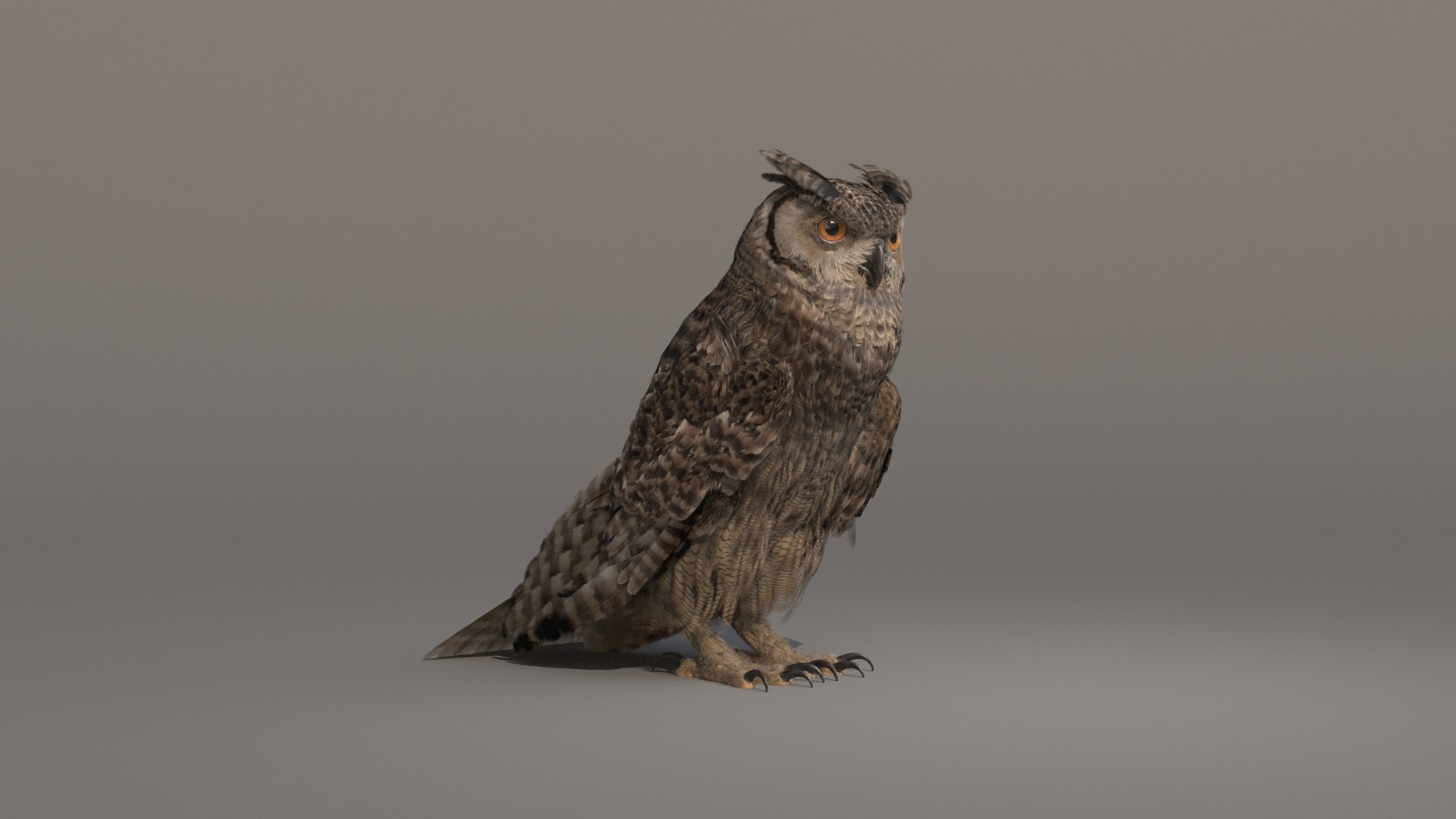 3D owl animations model https://p.turbosquid.com/ts-thumb/DP/EOFZjY/OHlc0gm3/owlanimated3/jpg/1573489493/1920x1080/fit_q87/f5d08e7c8f775b0cc4cb0550db46a3bc430587cf/owlanimated3.jpg