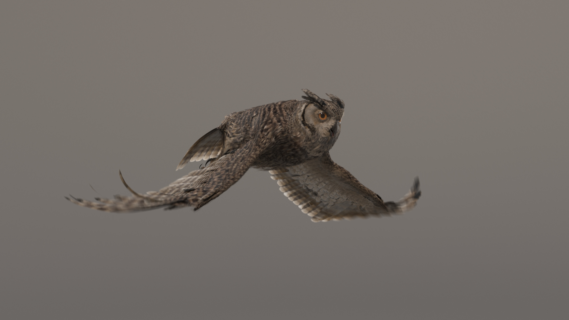 3D owl animations model https://p.turbosquid.com/ts-thumb/DP/EOFZjY/oykVWDD7/fly/jpg/1573474185/1920x1080/turn_fit_q99/8ec1ee50fa4ef7b0f028d7f562edae38daa033af/fly-1.jpg