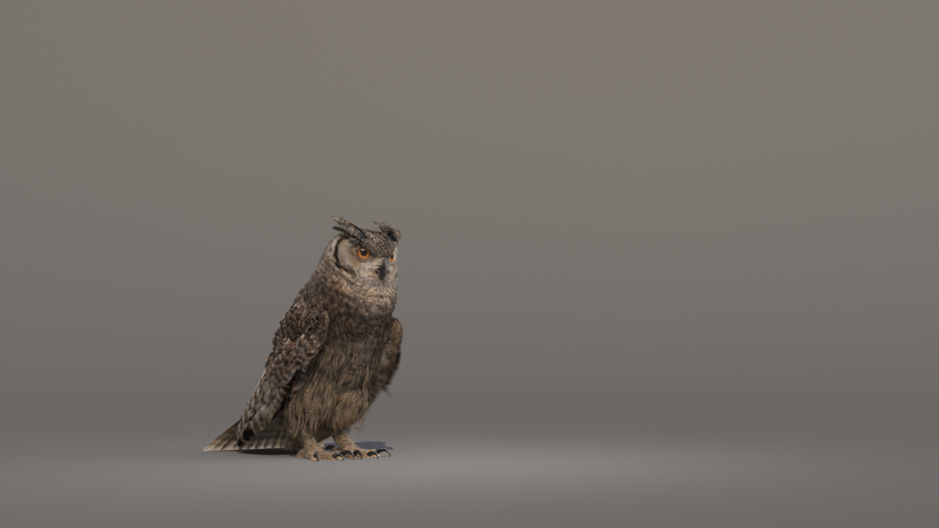 3D owl animations model https://p.turbosquid.com/ts-thumb/DP/EOFZjY/qxR4VAF0/startfly/jpg/1573472988/1920x1080/turn_fit_q99/1ad019da5badc9d6f909e7a9f86bf11f58425269/startfly-1.jpg