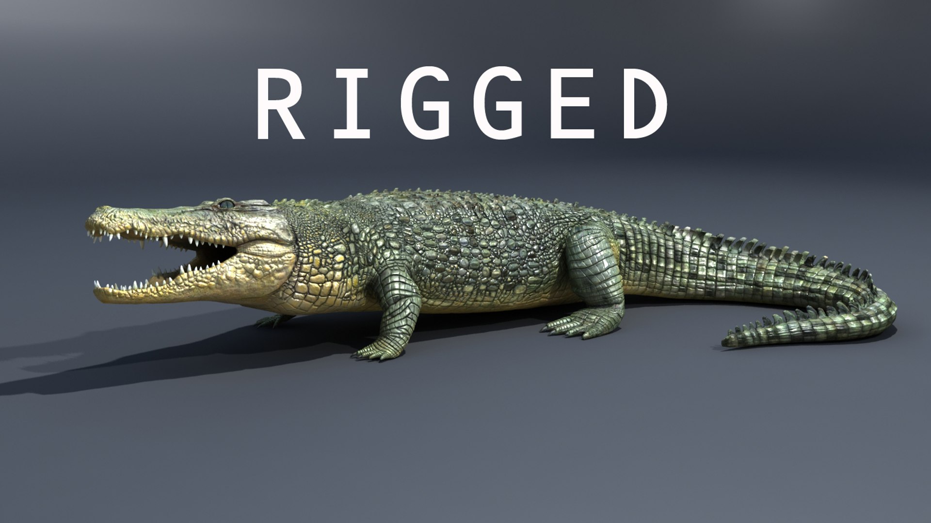 Crocodile Rig 3d Max