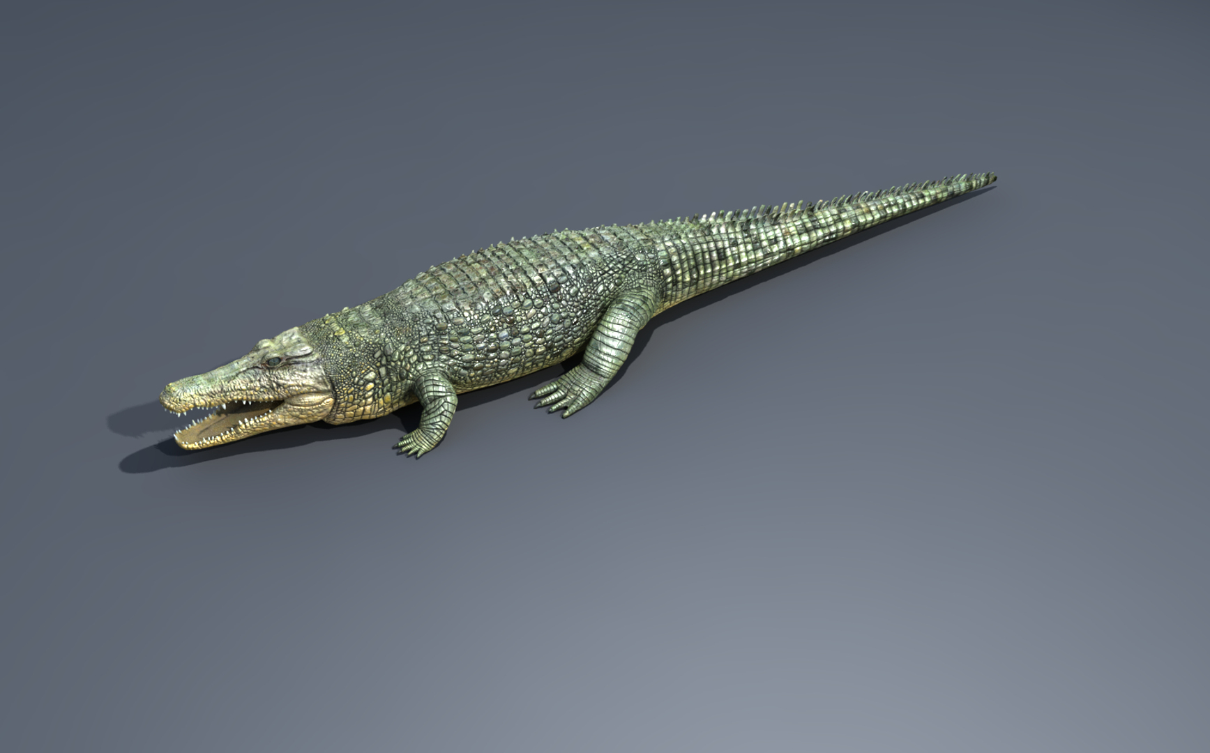 Crocodile Rig 3d Max