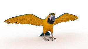 3D model Macaw Parrot