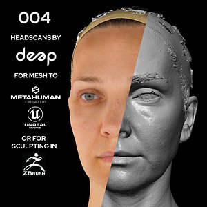 European Female 40s head scan 004