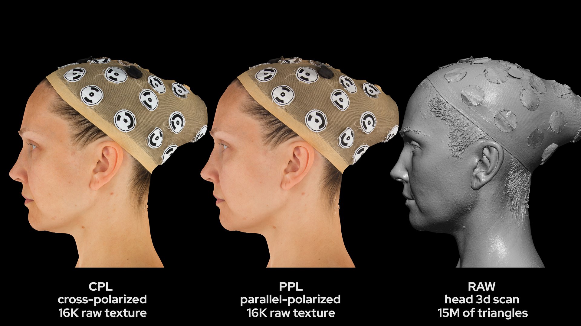 3D European Female 40s Head Scan 004 - TurboSquid 2045948