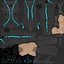 Tron Legacy Woman Racer
