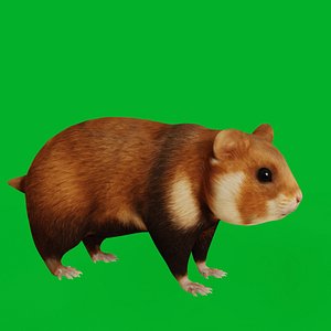 3D model European Wild Hamster