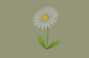 3D Daisy Flower