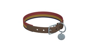 dog collar