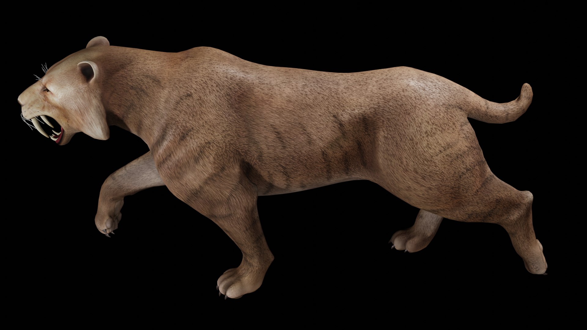 Saber Tooth 3D Model - TurboSquid 2032642