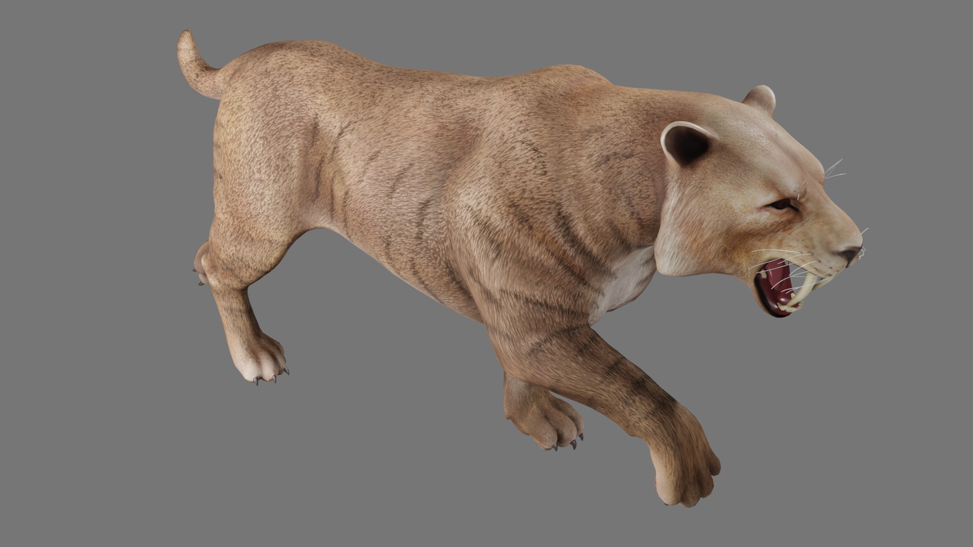 Saber Tooth 3D Model - TurboSquid 2032642