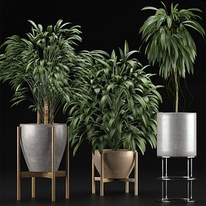 3D plants 13
