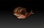 Toon Shark