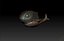 Toon Shark