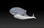 Toon Shark