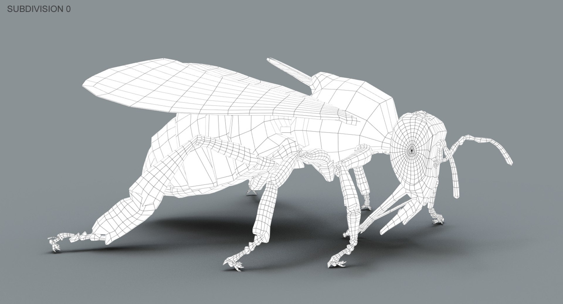 3D model honeybee fur animation 2 https://p.turbosquid.com/ts-thumb/DP/qGH1Xm/8lNDlZeA/wire01/jpg/1541124166/1920x1080/fit_q87/3294e3b4ef274d7cef871ce9ad2add0753de76c3/wire01.jpg