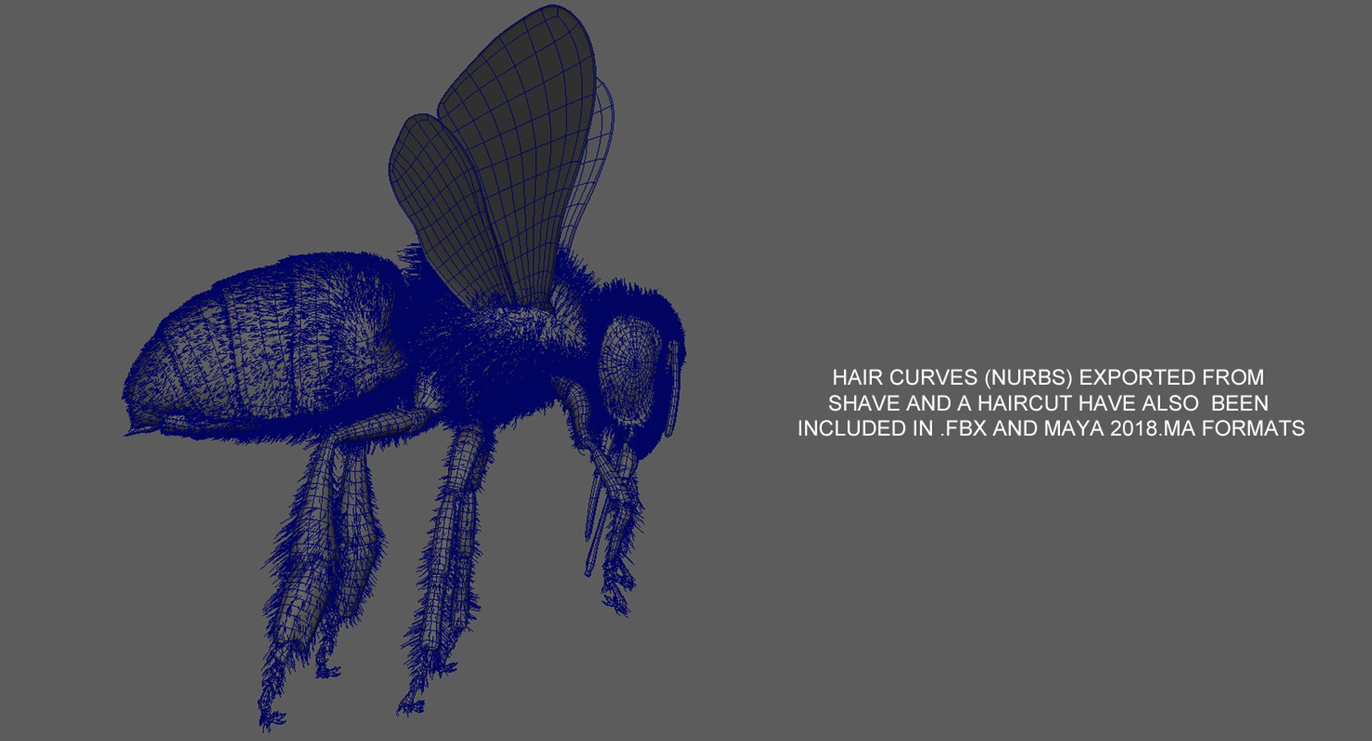 3D model honeybee fur animation 2 https://p.turbosquid.com/ts-thumb/DP/qGH1Xm/DjHUwoWN/fur/jpg/1541123442/1920x1080/fit_q87/1adc3b5231acd517552fa8400fb85e0aa1317661/fur.jpg