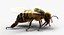 3D model honeybee fur animation 2