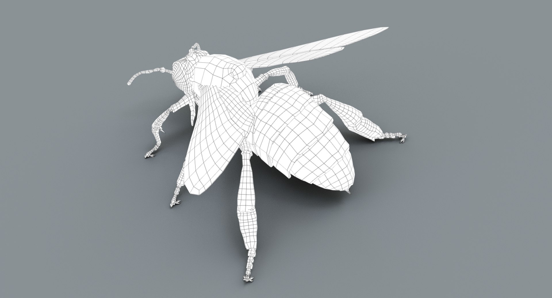 3D model honeybee fur animation 2 https://p.turbosquid.com/ts-thumb/DP/qGH1Xm/XxLuux6Y/wire02/jpg/1541123442/1920x1080/fit_q87/e9f8268680549789922166eda9edafff17844427/wire02.jpg