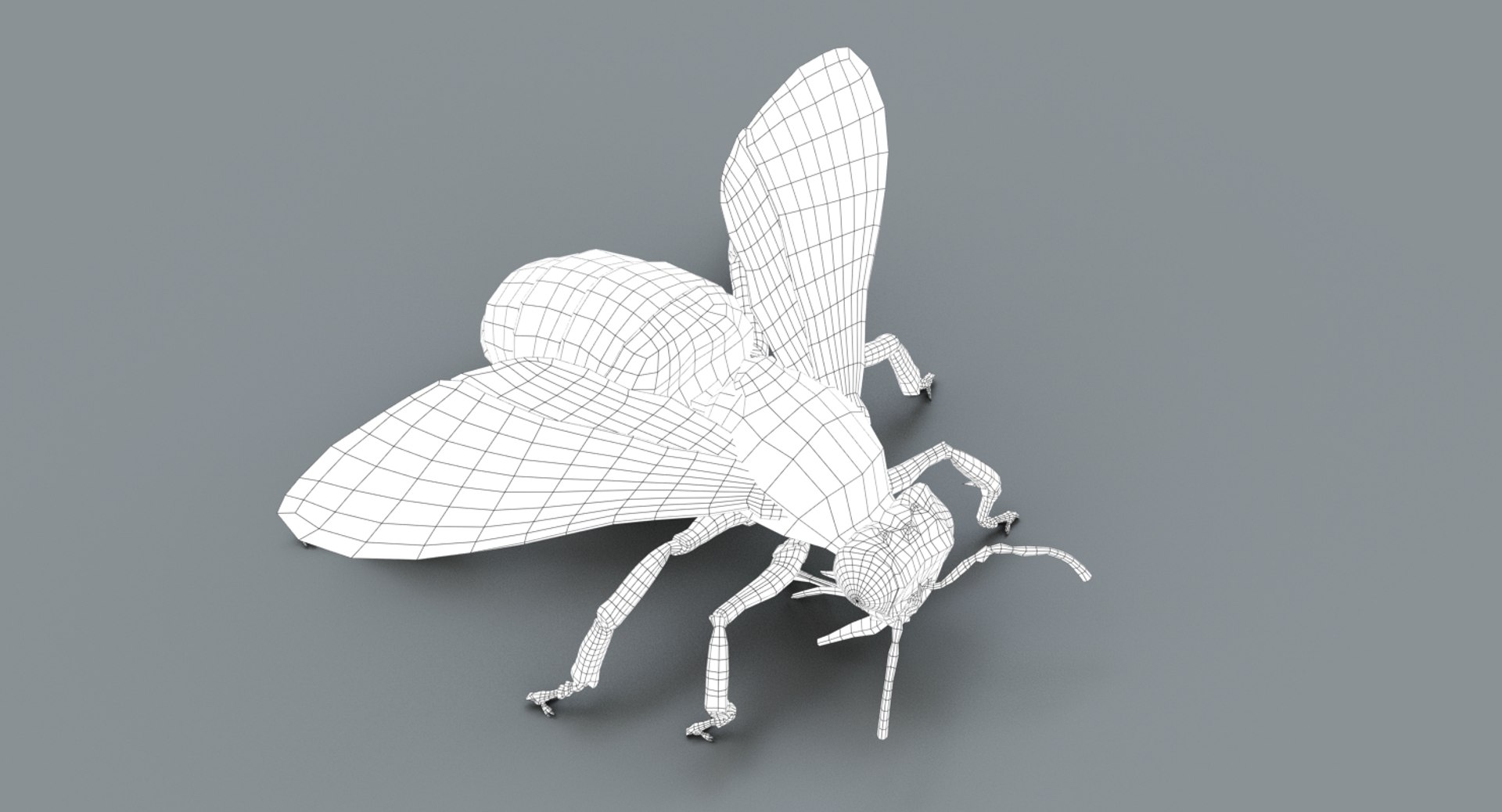 3D model honeybee fur animation 2 https://p.turbosquid.com/ts-thumb/DP/qGH1Xm/iTjl91vF/wire05/jpg/1541123442/1920x1080/fit_q87/49d101bb79e9e631e33ffa7368a026f79b4c64eb/wire05.jpg