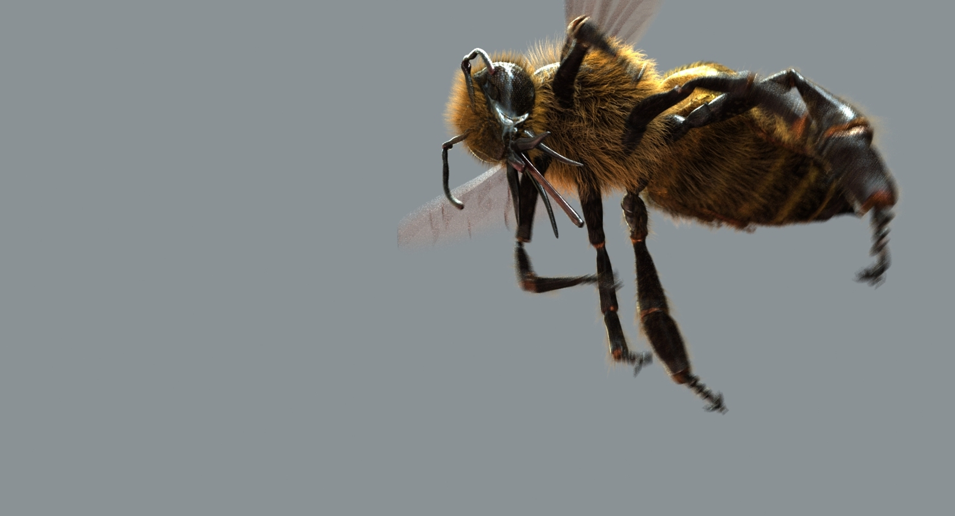 3D model honeybee fur animation 2 https://p.turbosquid.com/ts-thumb/DP/qGH1Xm/q5GfB4h3/flyaround/jpg/1541141226/1920x1080/turn_fit_q99/513e953c61739048ea8fff784f54f8f0d345bbd8/flyaround-1.jpg