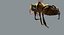 3D model honeybee fur animation 2