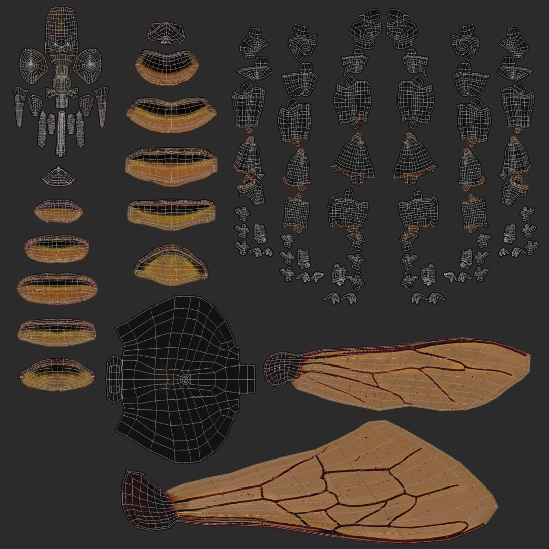 3D model honeybee fur animation 2 https://p.turbosquid.com/ts-thumb/DP/qGH1Xm/x3doSlYX/map/jpg/1541124007/1920x1080/fit_q87/f46aa883452e0099a8118d9aec71d38c5a7aed95/map.jpg