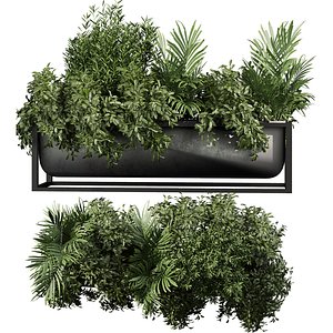 3D model plant vol 1001 - box - banana - bush - palm