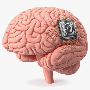Human Brain With Implanted Microchip for 3D Print