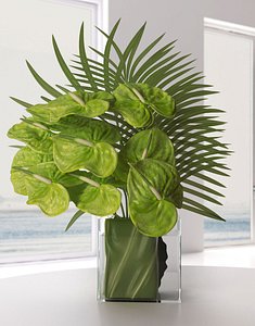 green anthuriums palm leaves model
