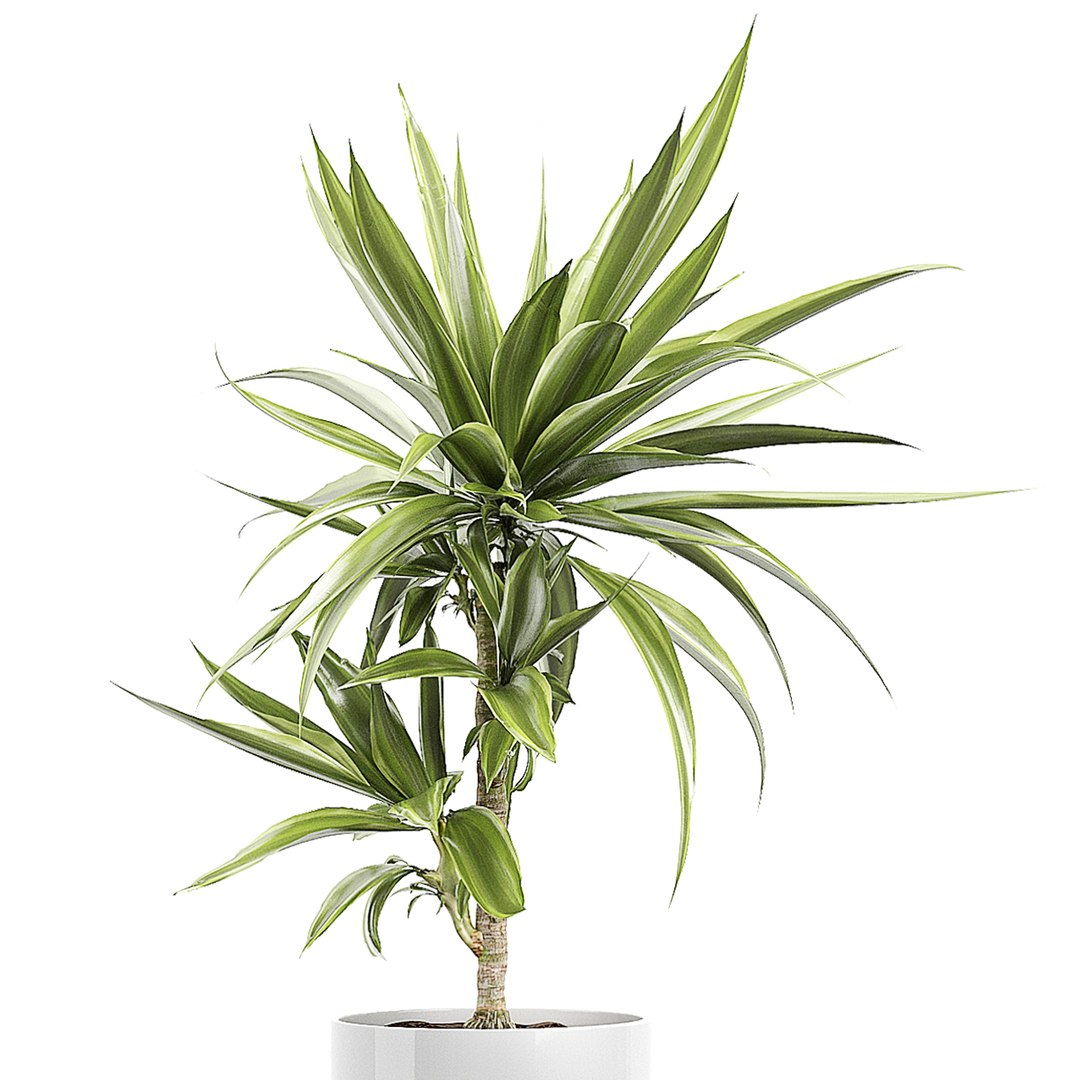 potted plants set 51 3D model https://p.turbosquid.com/ts-thumb/DQ/EEoHLK/HX6UF0cN/flowerpack512/jpg/1590068173/1920x1080/fit_q87/0aebc282ed967724632a267ce92d90c1a918431b/flowerpack512.jpg