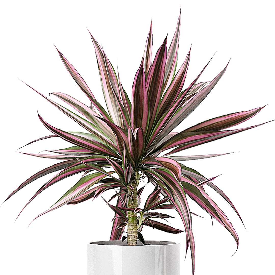 potted plants set 51 3D model https://p.turbosquid.com/ts-thumb/DQ/EEoHLK/WP0SJfm4/flowerpack511/jpg/1590068157/1920x1080/fit_q87/4b5d7d1a5797384a1c448af80627b90f10a05518/flowerpack511.jpg