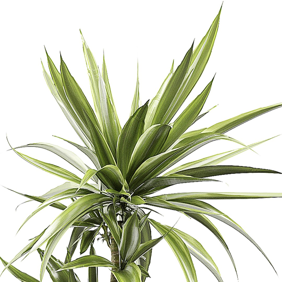 potted plants set 51 3D model https://p.turbosquid.com/ts-thumb/DQ/EEoHLK/sZGILNLS/flowerpack514/jpg/1590068271/1920x1080/fit_q87/1ff4623f714bfe282306a22a8fbf437f0fbef745/flowerpack514.jpg