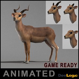 Antelope