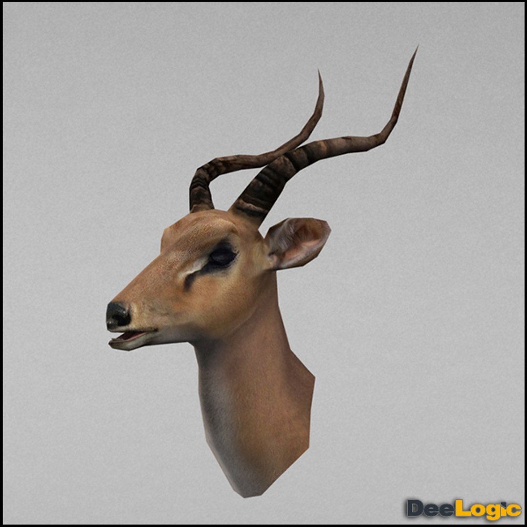 Antelope Rigged Animations 3d Max