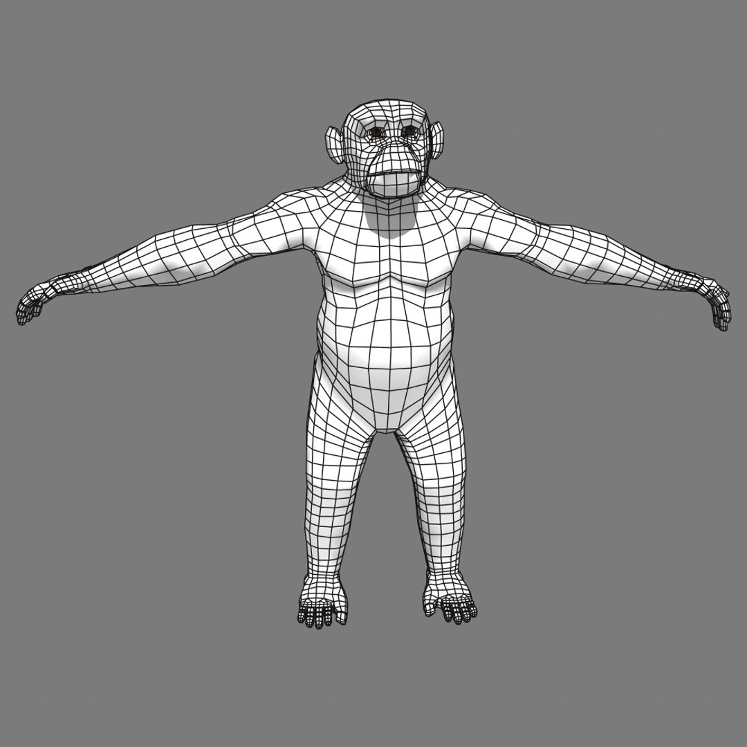 3d realistic rigged