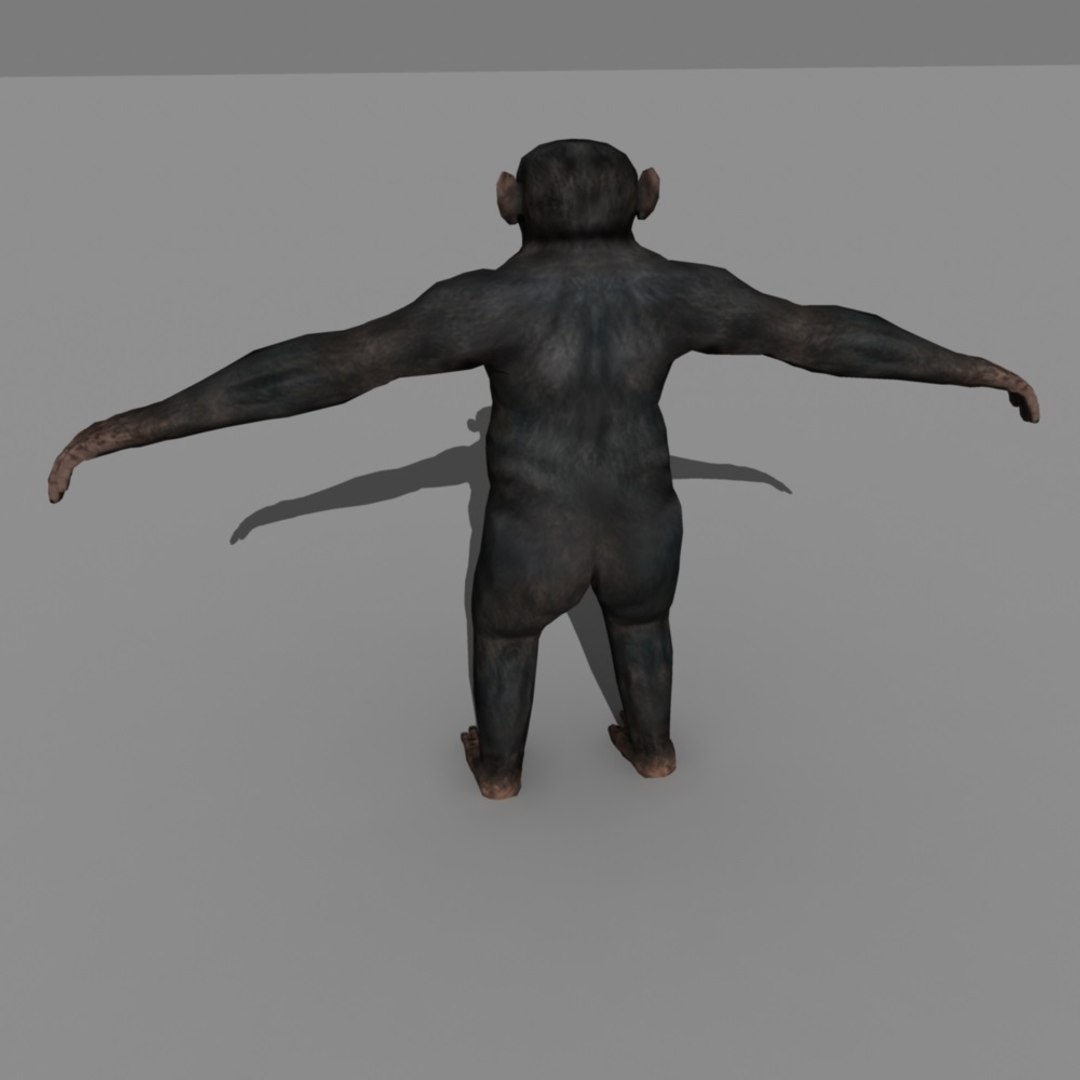 3d realistic rigged