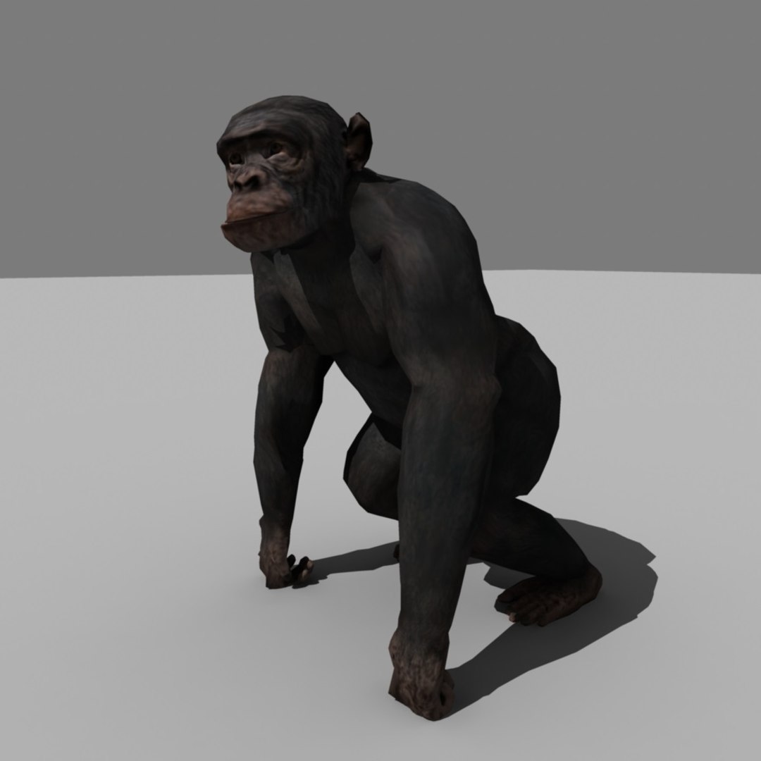 3d realistic rigged